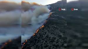 Buca’da Alevler Evlerin Kapısına Dayandı: Halk Hortumlarla Alevlere Karşı Durdu