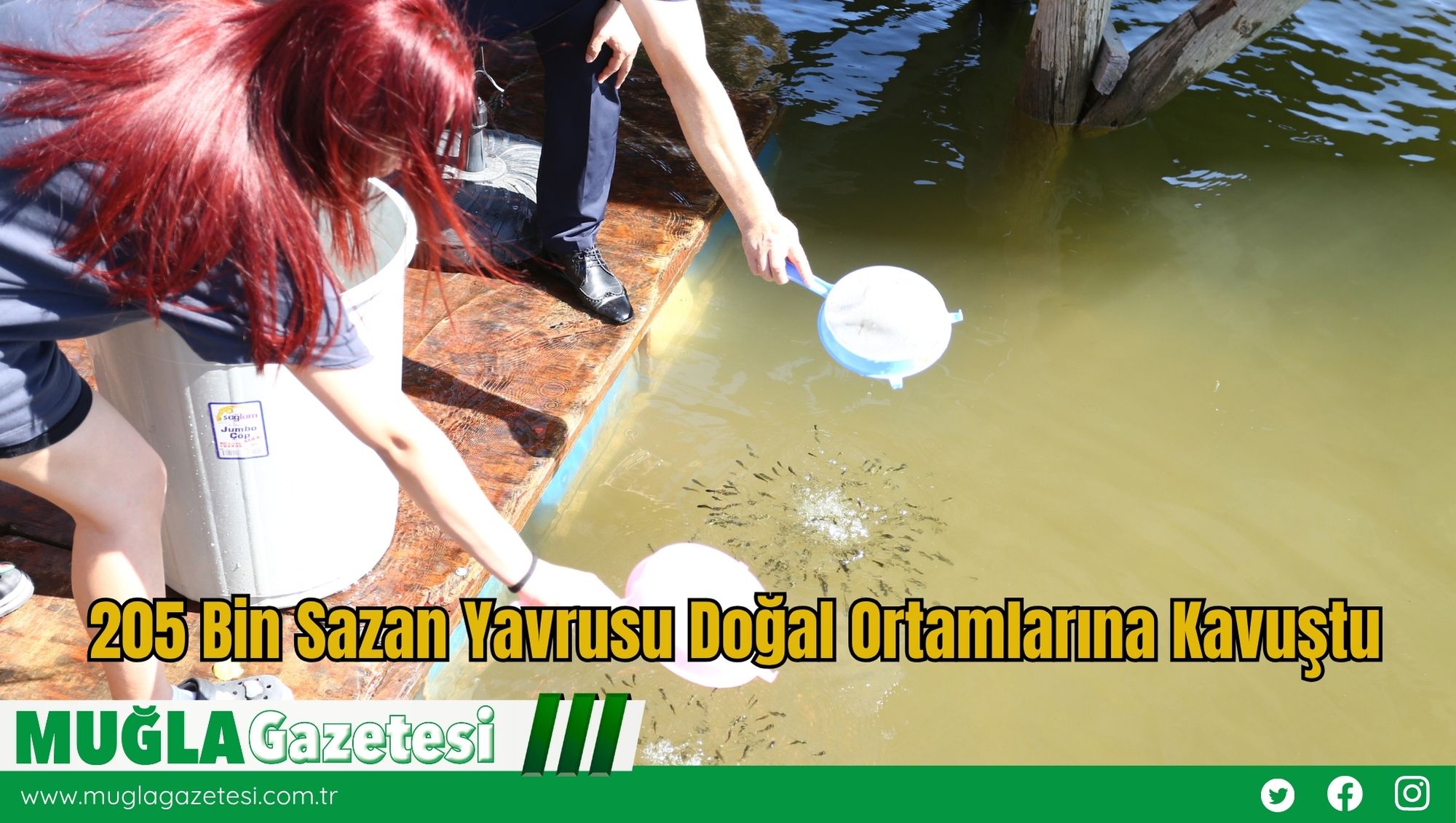 205 Bin Sazan Yavrusu Doğal Ortamlarına Kavuştu