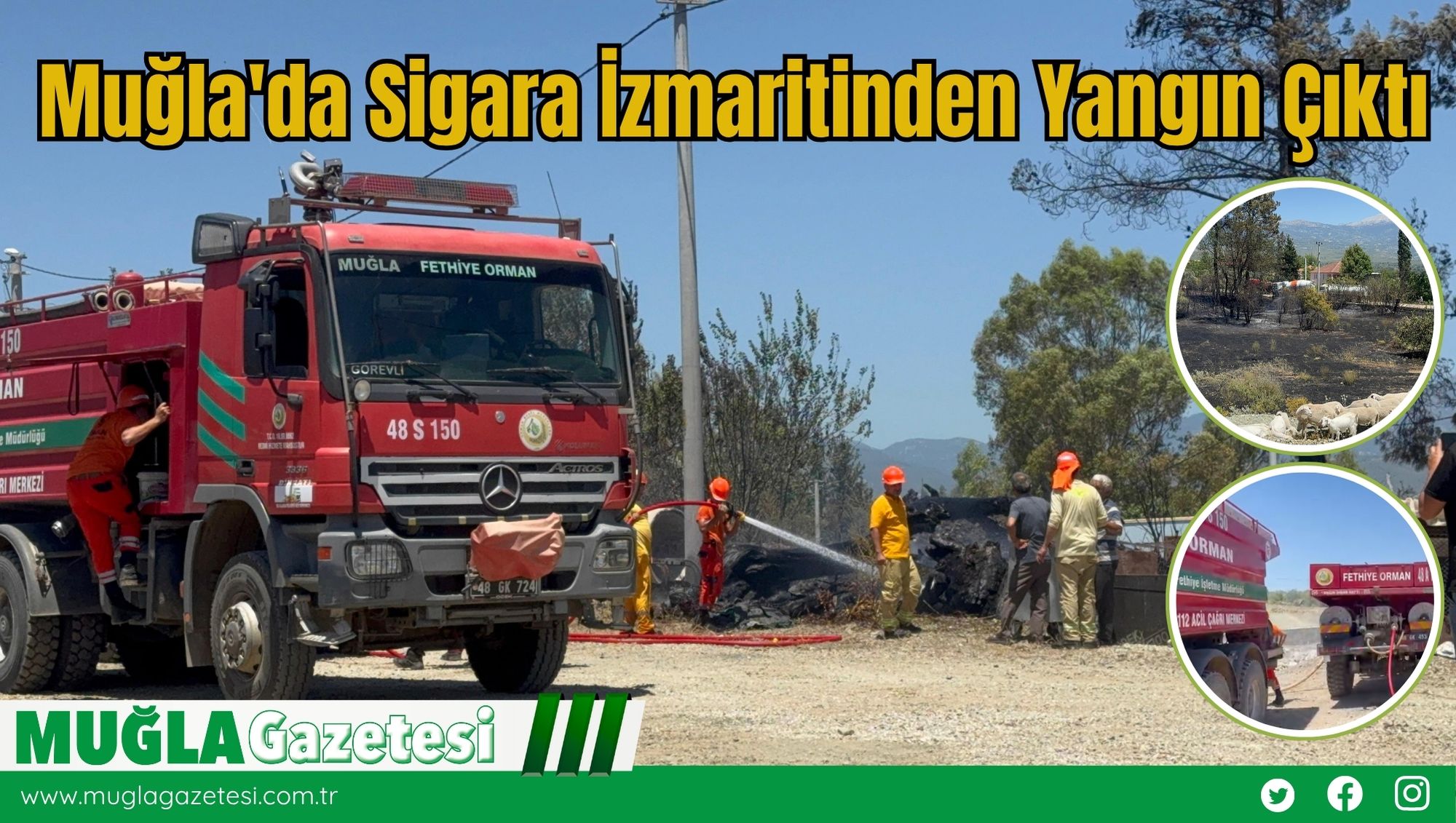 Muğla'da Sigara İzmaritinden Yangın Çıktı
