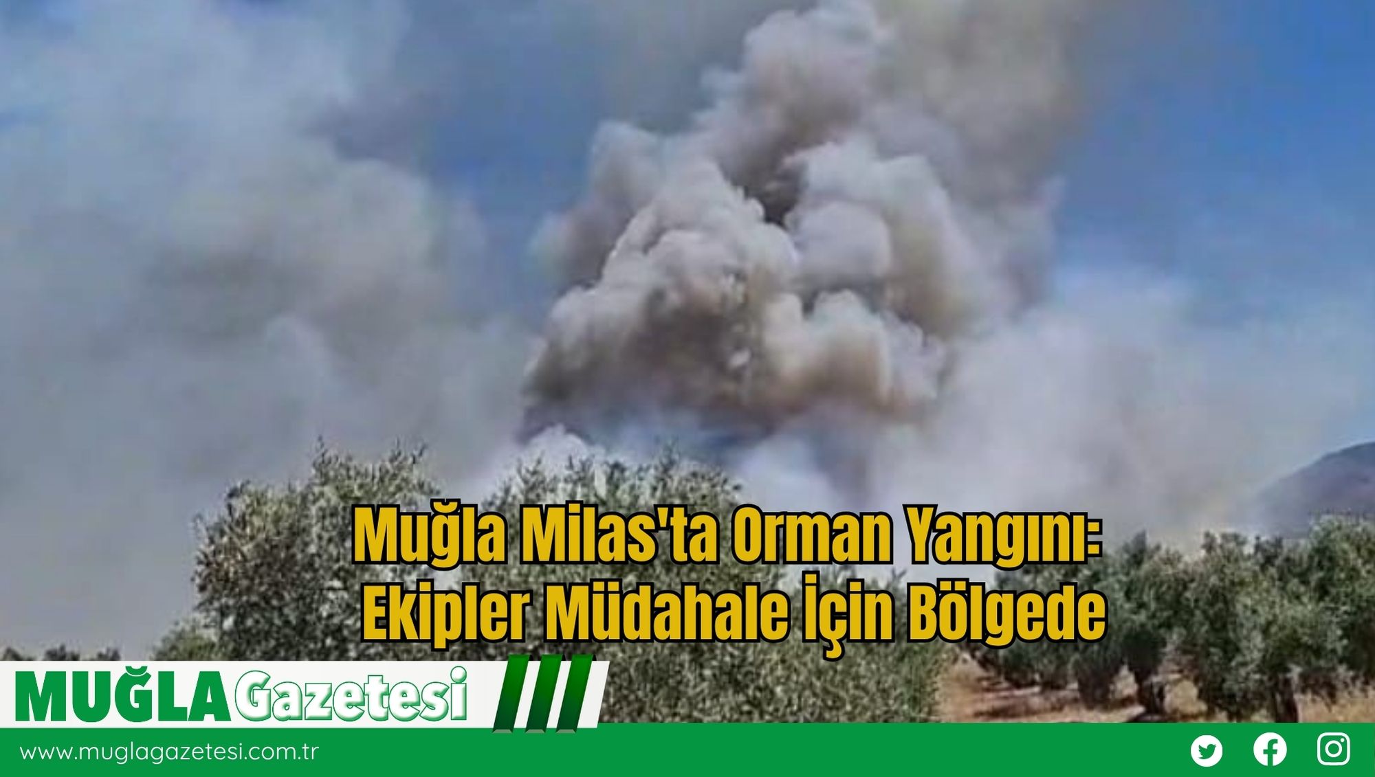 Muğla Milas'ta Orman Yangını: Ekipler Müdahale İçin Bölgede
