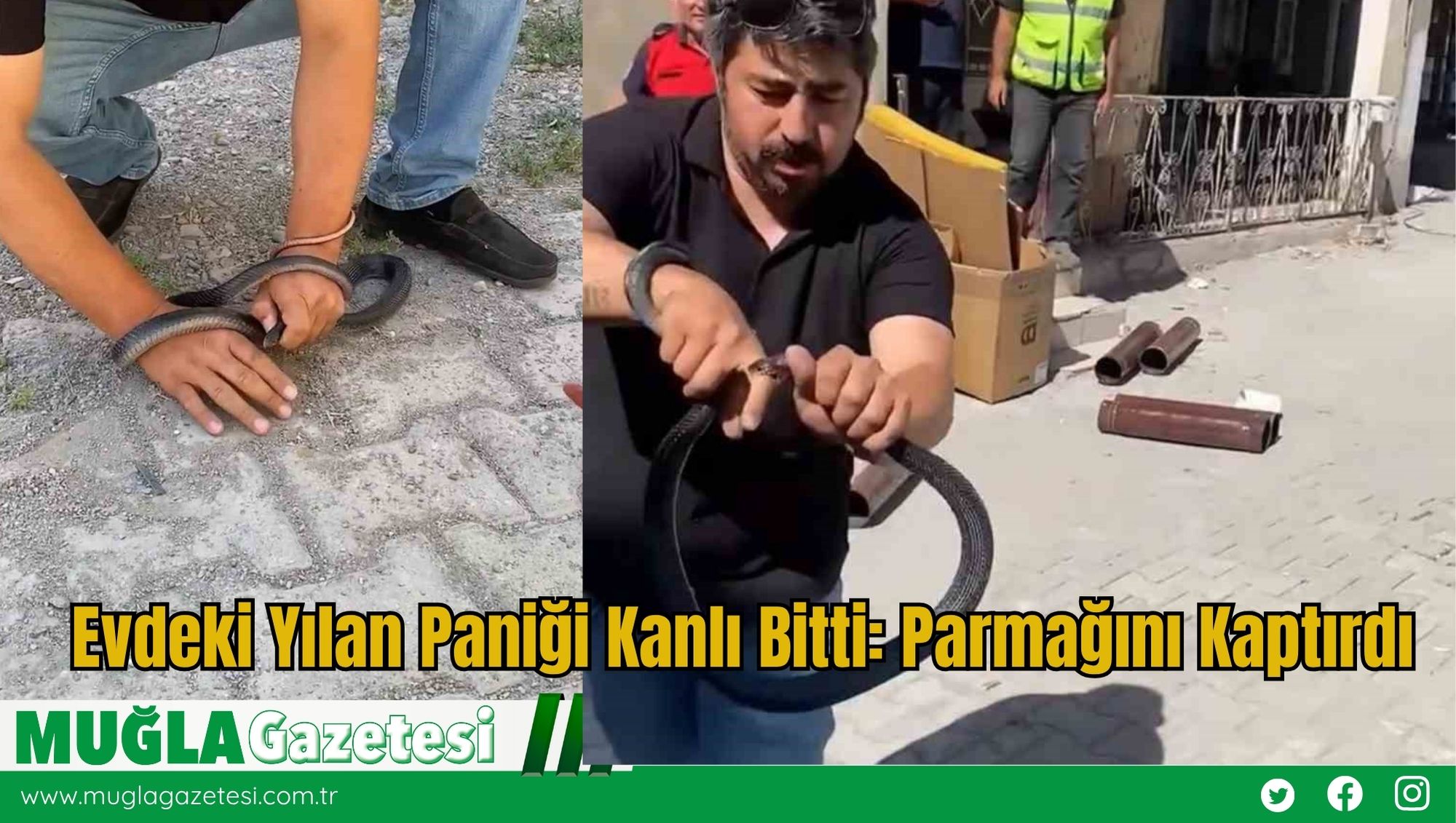 Evdeki Yılan Paniği Kanlı Bitti: Parmağını Kaptırdı