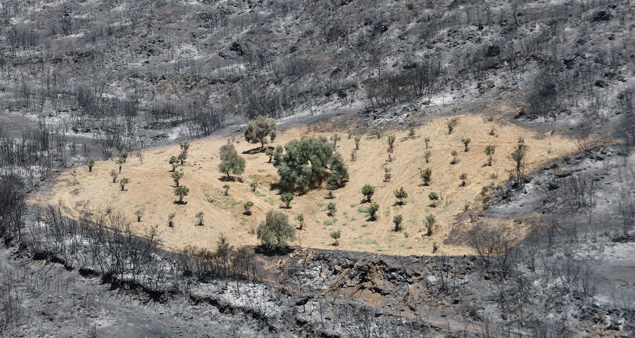 Sürülmüş Toprak Alevlere Direndi