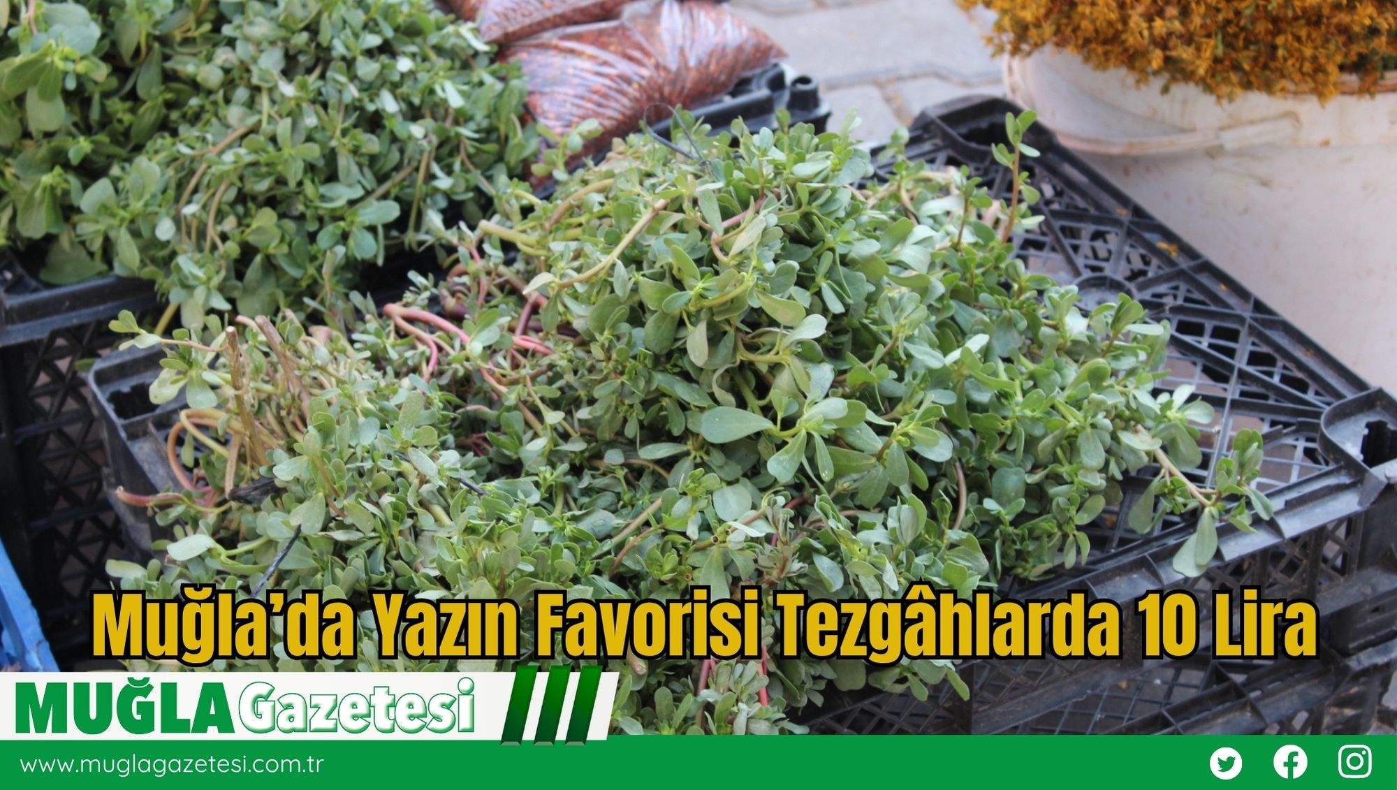Muğla’da Yazın Favorisi Tezgâhlarda 10 Lira