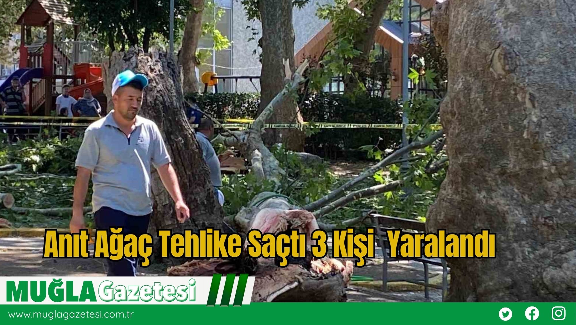 Anıt Ağaç Tehlike Saçtı 3 Kişi Yaralandı