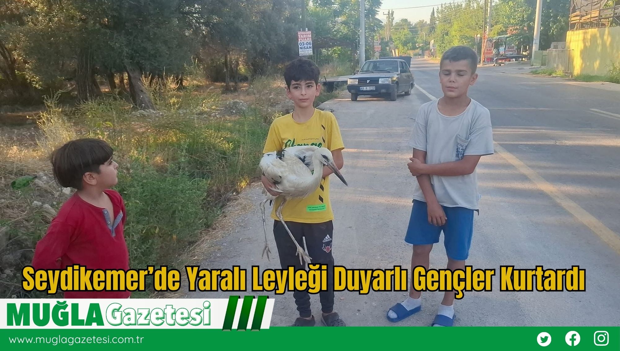 Seydikemer’de Yaralı Leyleği Duyarlı Gençler Kurtardı