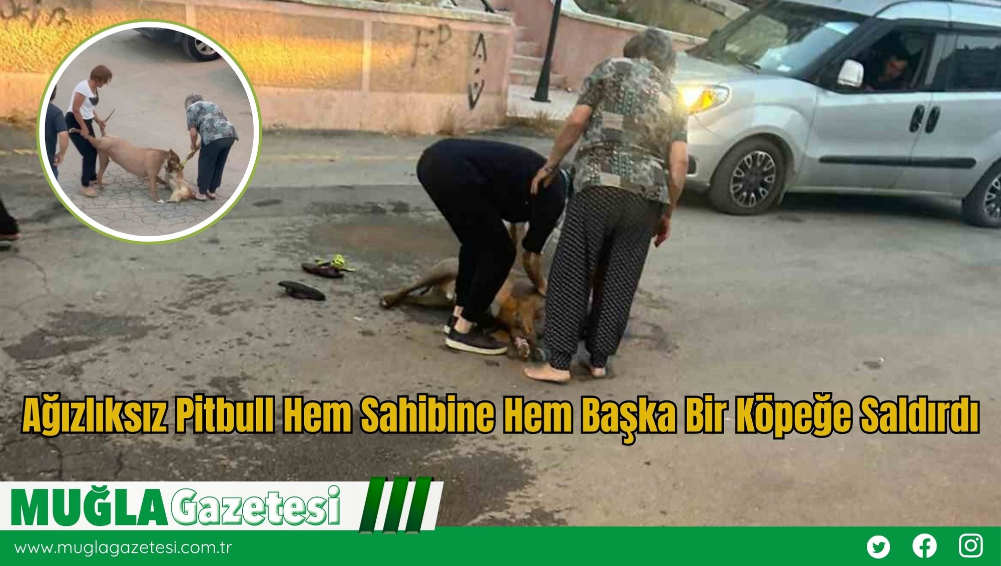Ağızlıksız Pitbull Hem Sahibine Hem Başka Bir Köpeğe Saldırdı