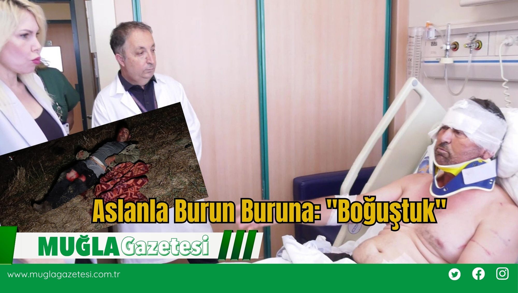 Aslanla Burun Buruna: 
