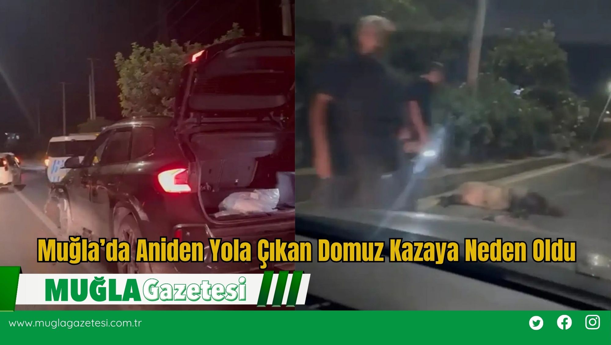 Muğla’da Aniden Yola Çıkan Domuz Kazaya Neden Oldu