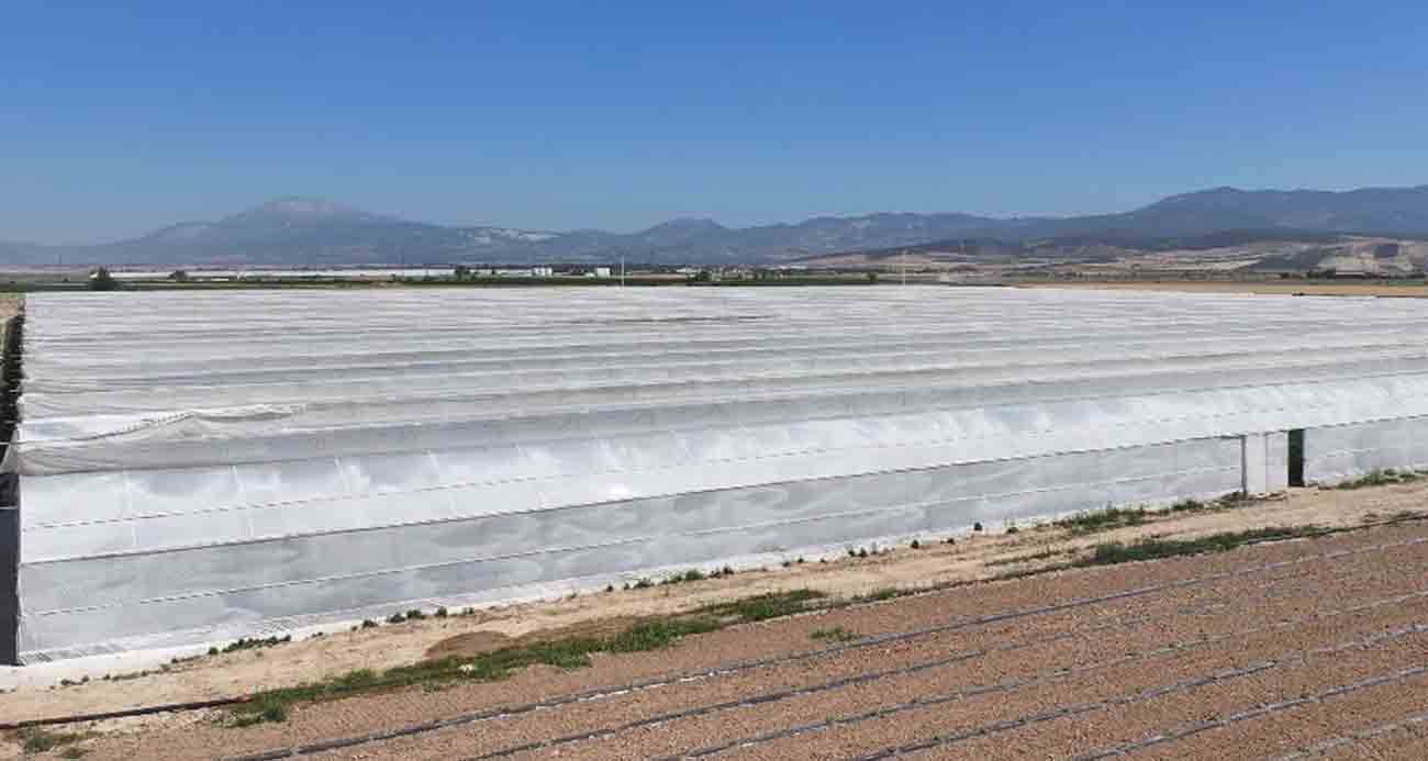 Serada Zehirlenme Paniği: 26 İşçi Hastaneye Kaldırıldı