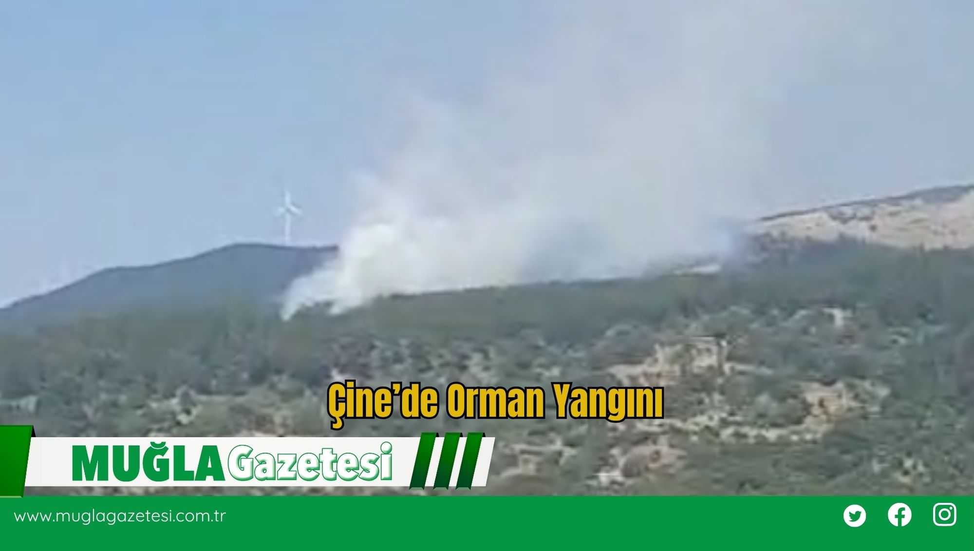 Çine'de Orman Yangını