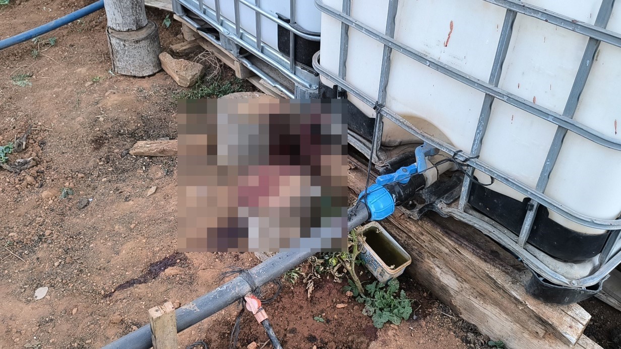 Bahçe Sulama Tartışması Can Aldı: Komşusunu Öldürdü, Eşini Yaraladı