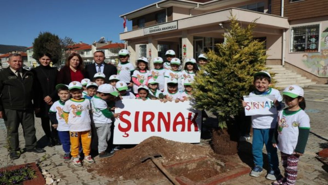 MuğlaTürkiye’de, Türkiye Muğla’da Yeşeriyor