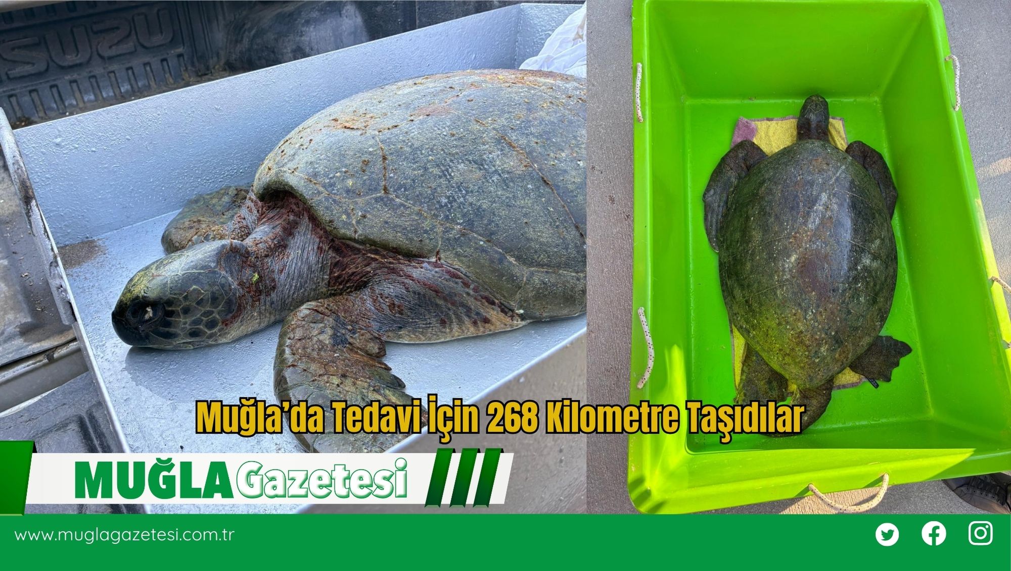 Muğla’da Tedavi İçin 268 Kilometre Taşıdılar