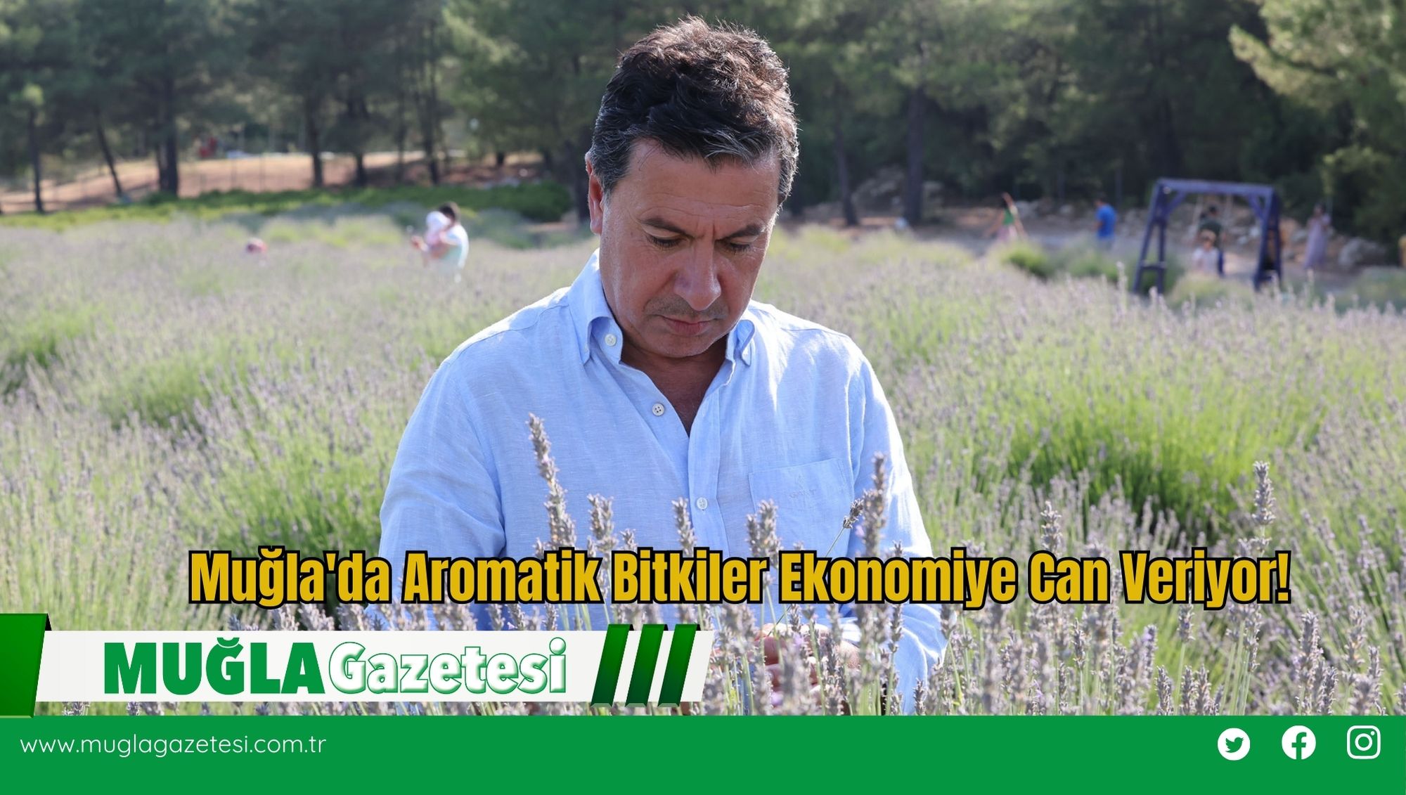 Muğla'da Aromatik Bitkiler Ekonomiye Can Veriyor!