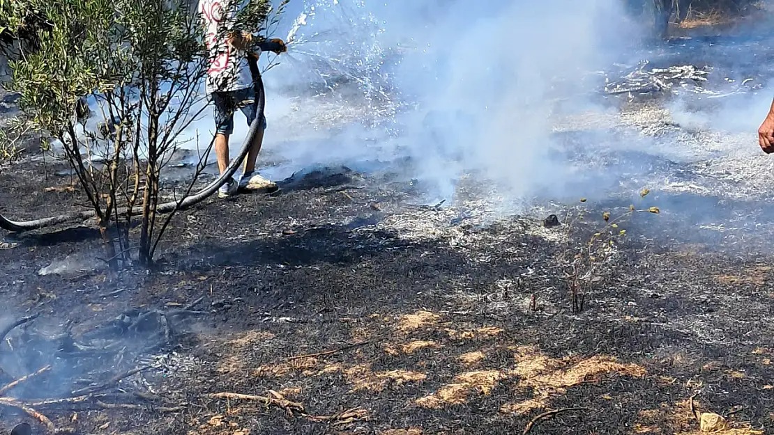 Bodrum’da Yangın Paniği: Ot Yangını Hızla Söndürüldü