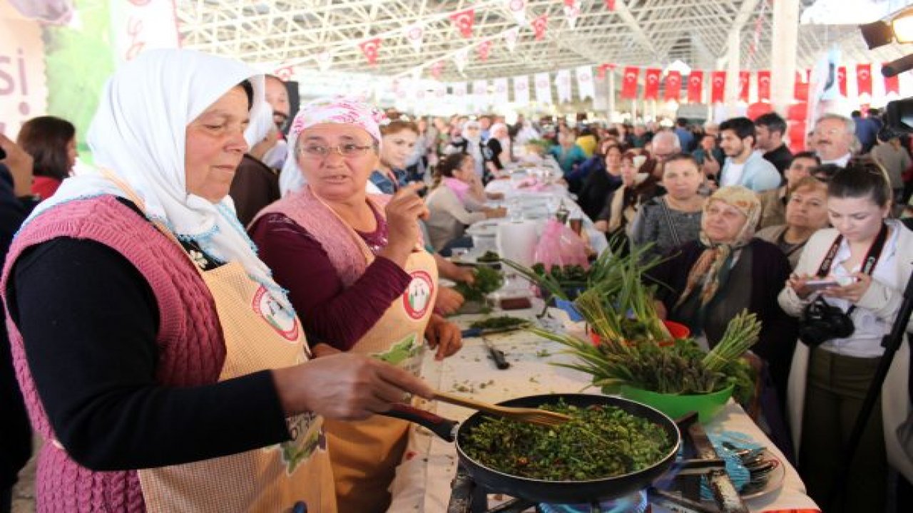 Menteşe’nin otları görücüye çıktı