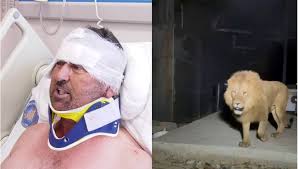 Aslan Saldırısına Uğrayan Yaşadıklarını Anlattı: 