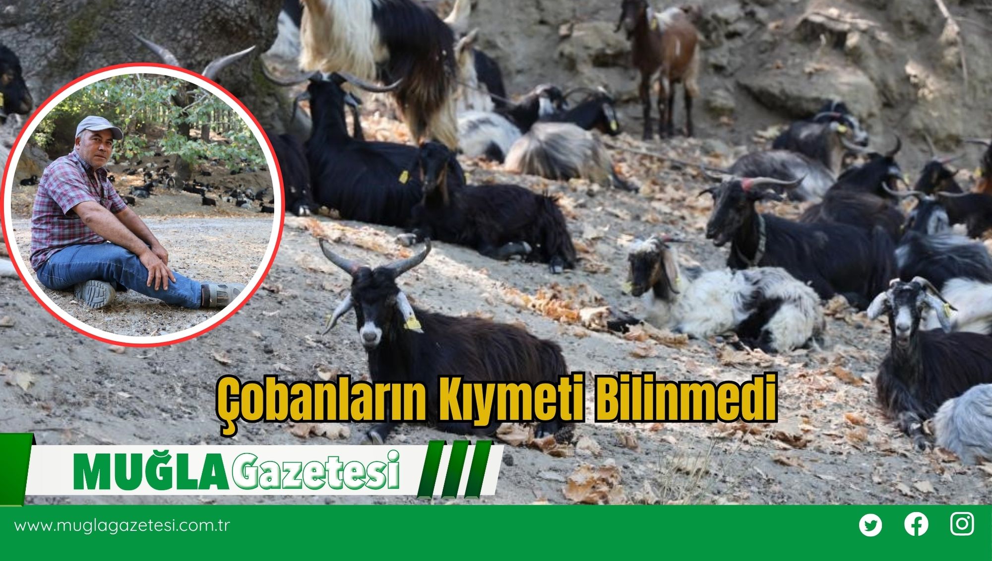 Çobanların Kıymeti Bilinmedi
