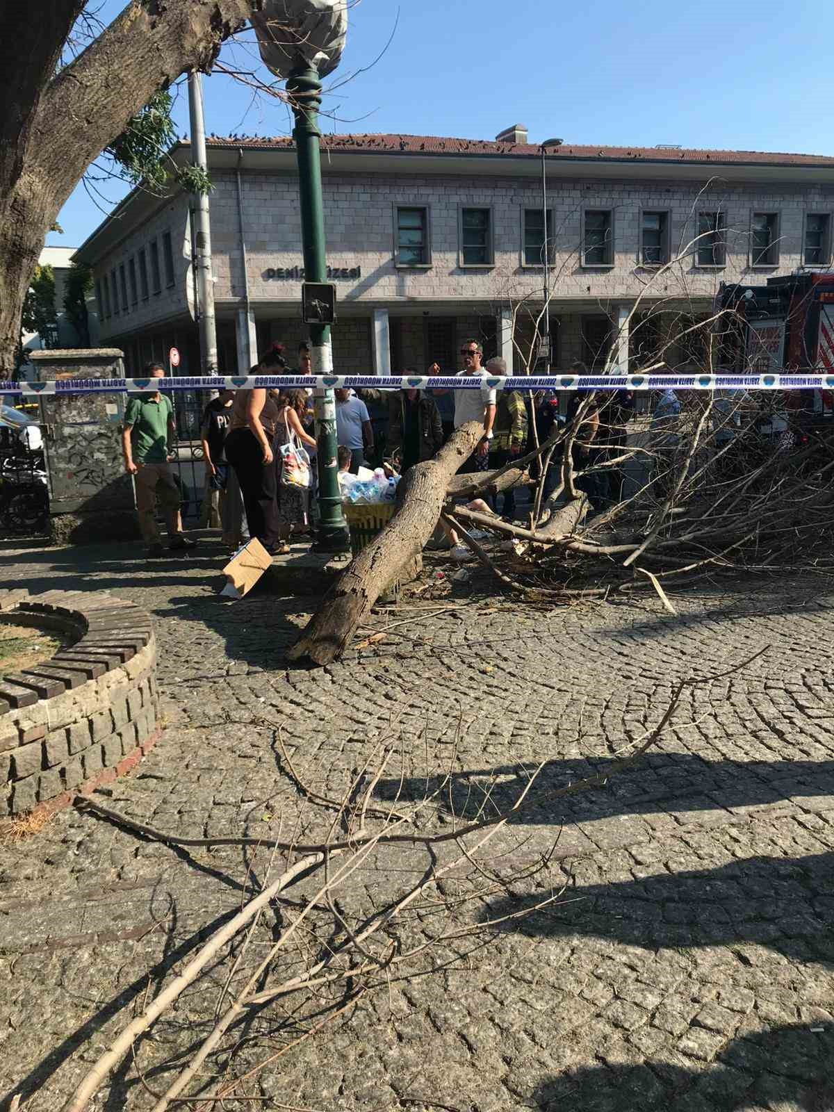 İlginç Olay: Ağaç Üç Kişinin Üzerine Düştü