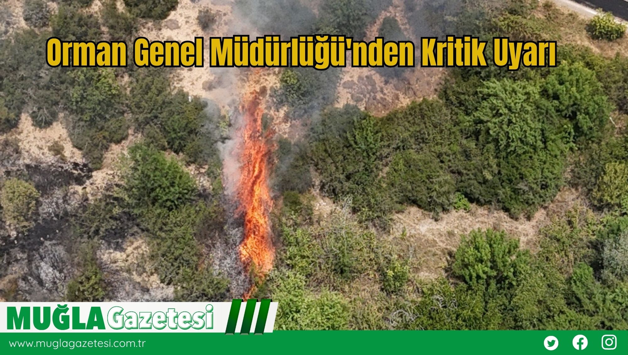 Orman Genel Müdürlüğü'nden Kritik Uyarı