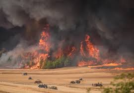 Sakarya’daki Orman Yangını İl Sınırlarını Aştı: 4 Köy Tahliye Edildi,12 Konut Yandı