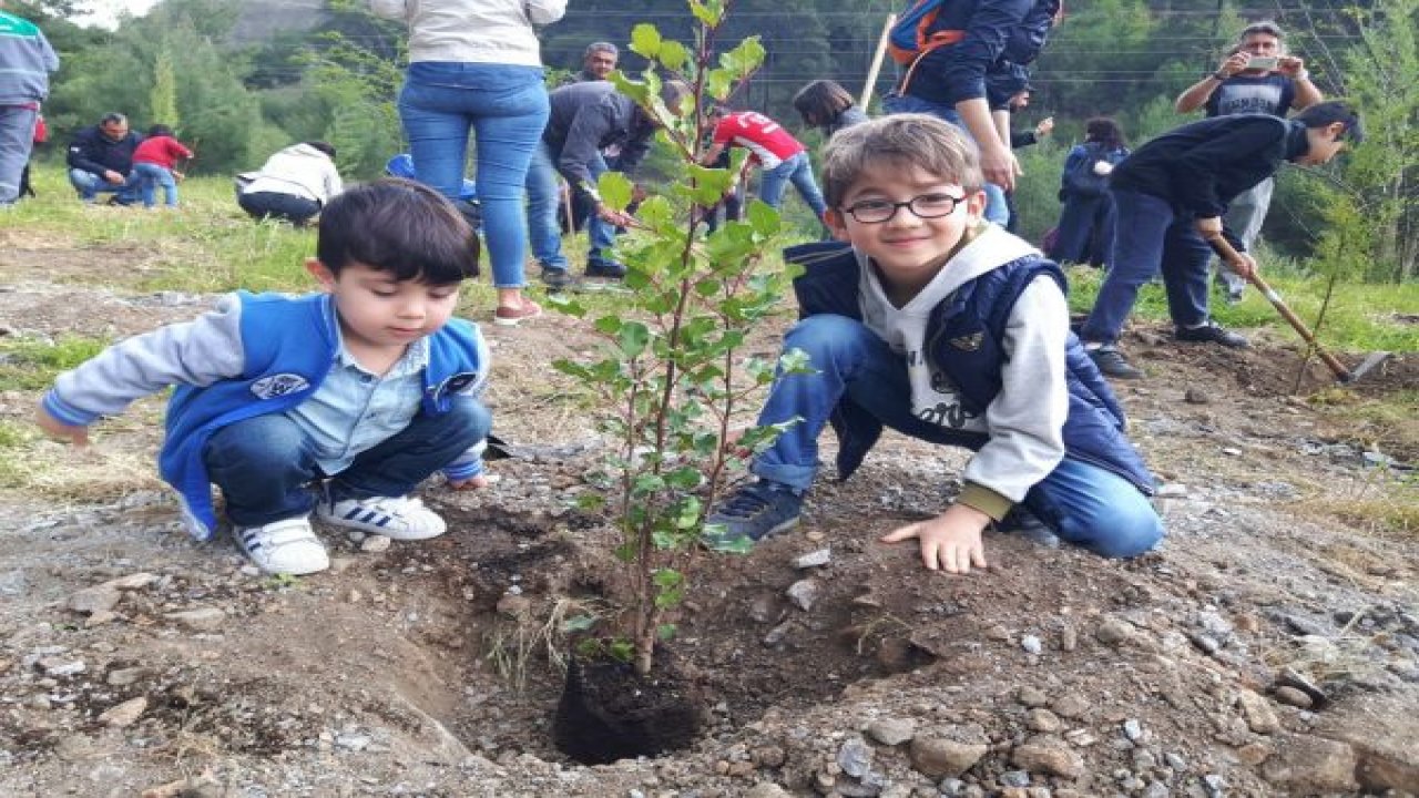 Nedip Cengiz Eker Hatıra Ormanı