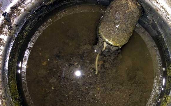 TOKİ’de Altyapı Krizi, Rögarı Tıkayan Atıklar Tepki Çekti: “Çocuk Bezi Klozete Atılır mı?