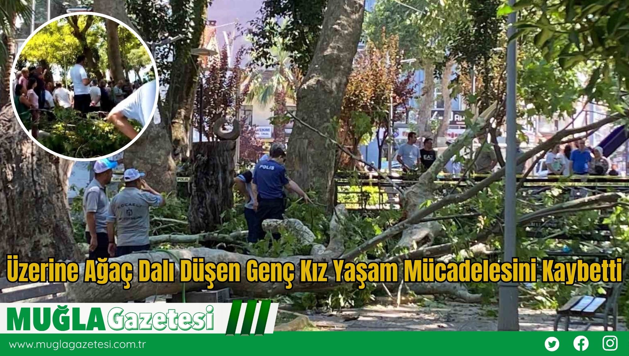 Üzerine Ağaç Dalı Düşen Genç Kız Yaşam Mücadelesini Kaybetti