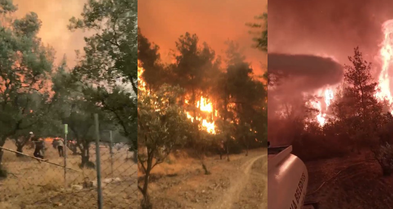 Orman Yangınında Korku Dolu Anlar Kamerada: Alevlerin Arasında Mahsur Kaldılar