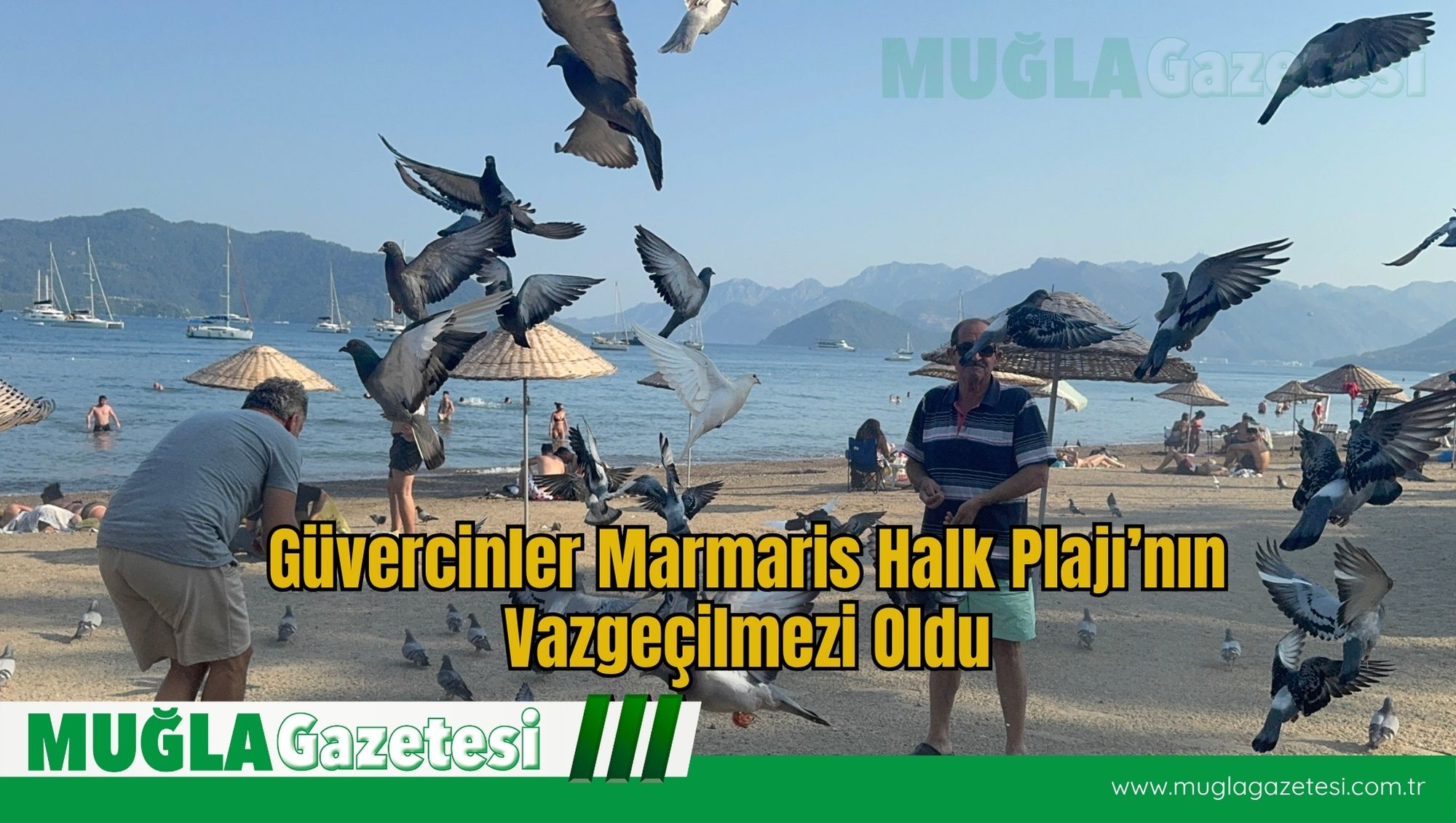 Güvercinler Marmaris Halk Plajı’nın Vazgeçilmezi Oldu