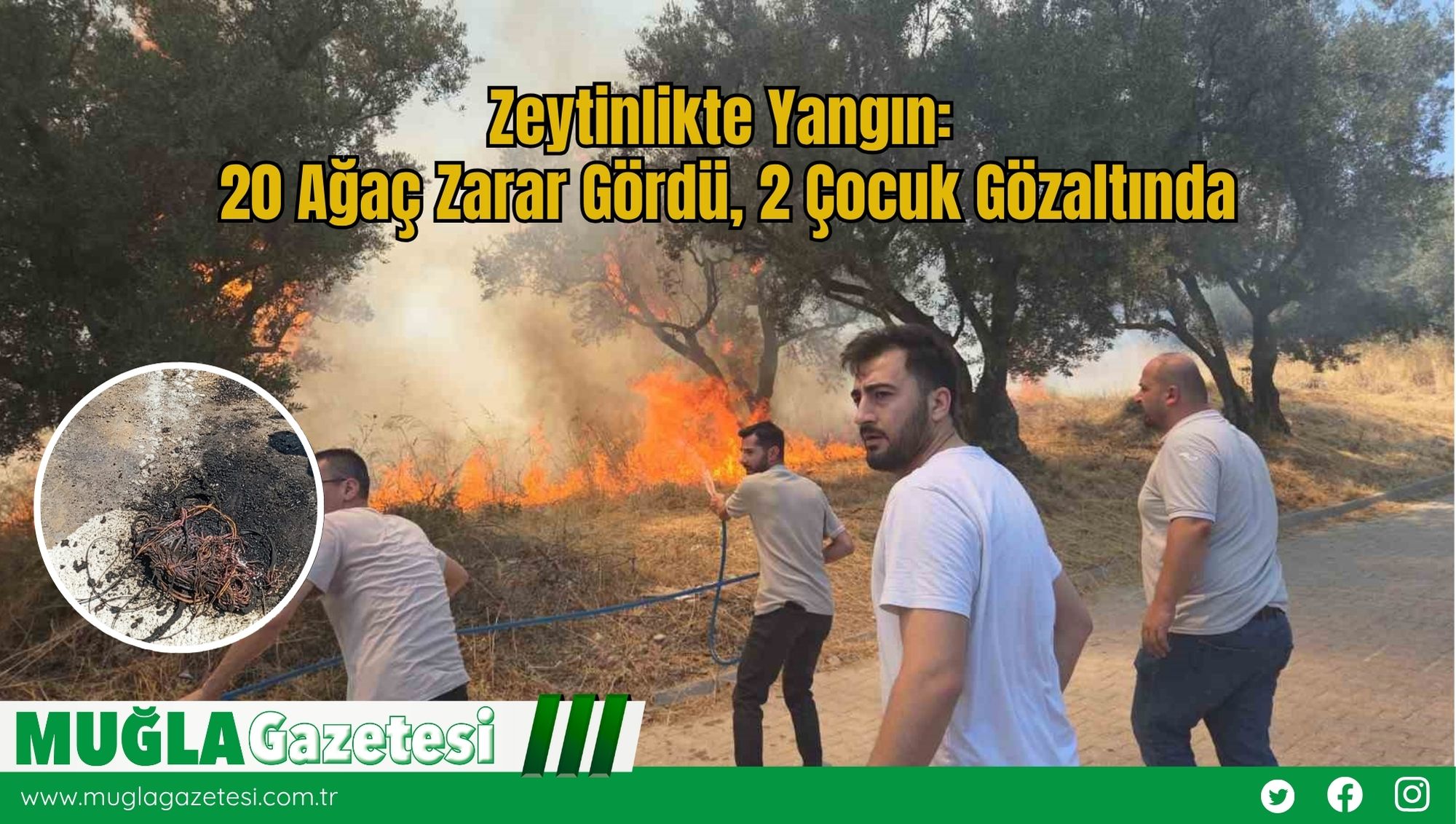 Zeytinlikte Yangın: 20 Ağaç Zarar Gördü, 2 Çocuk Gözaltında