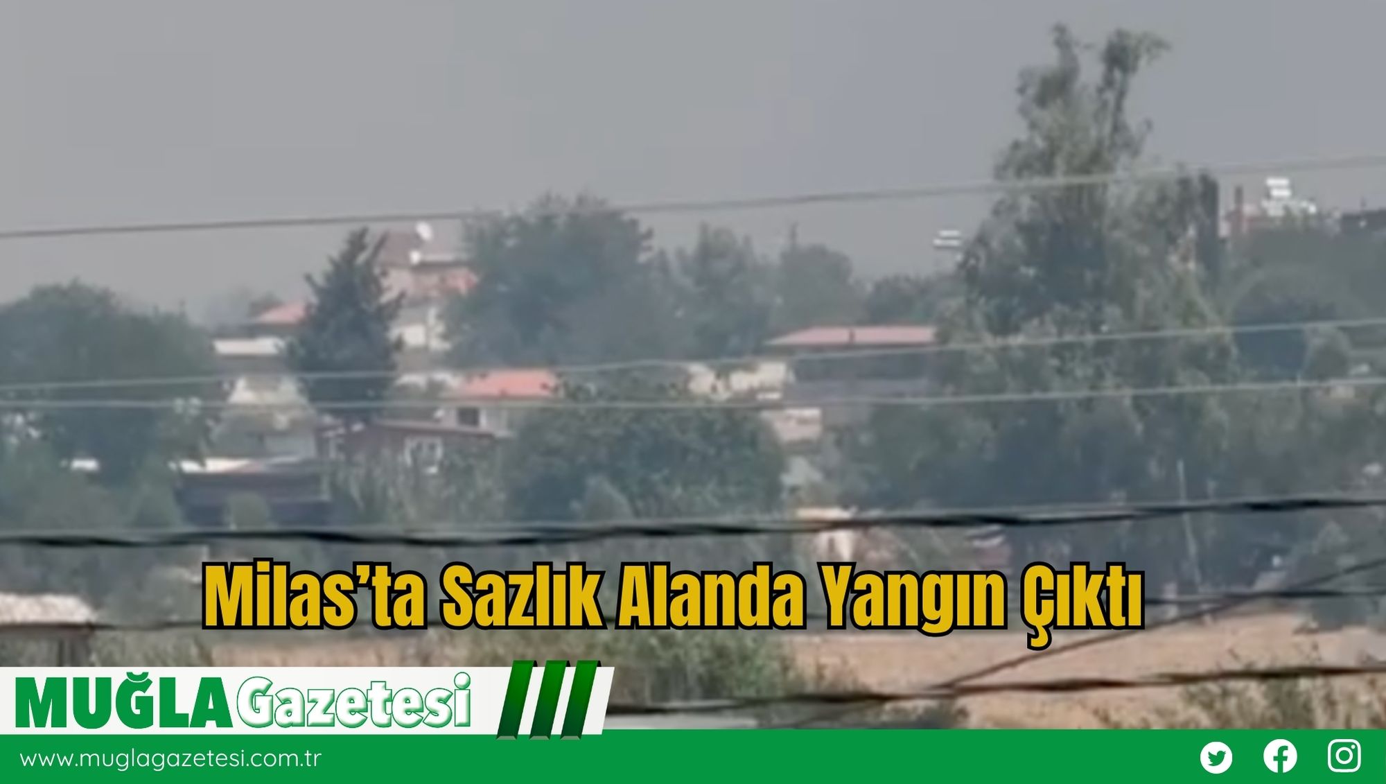 Milas’ta Sazlık Alanda Yangın Çıktı