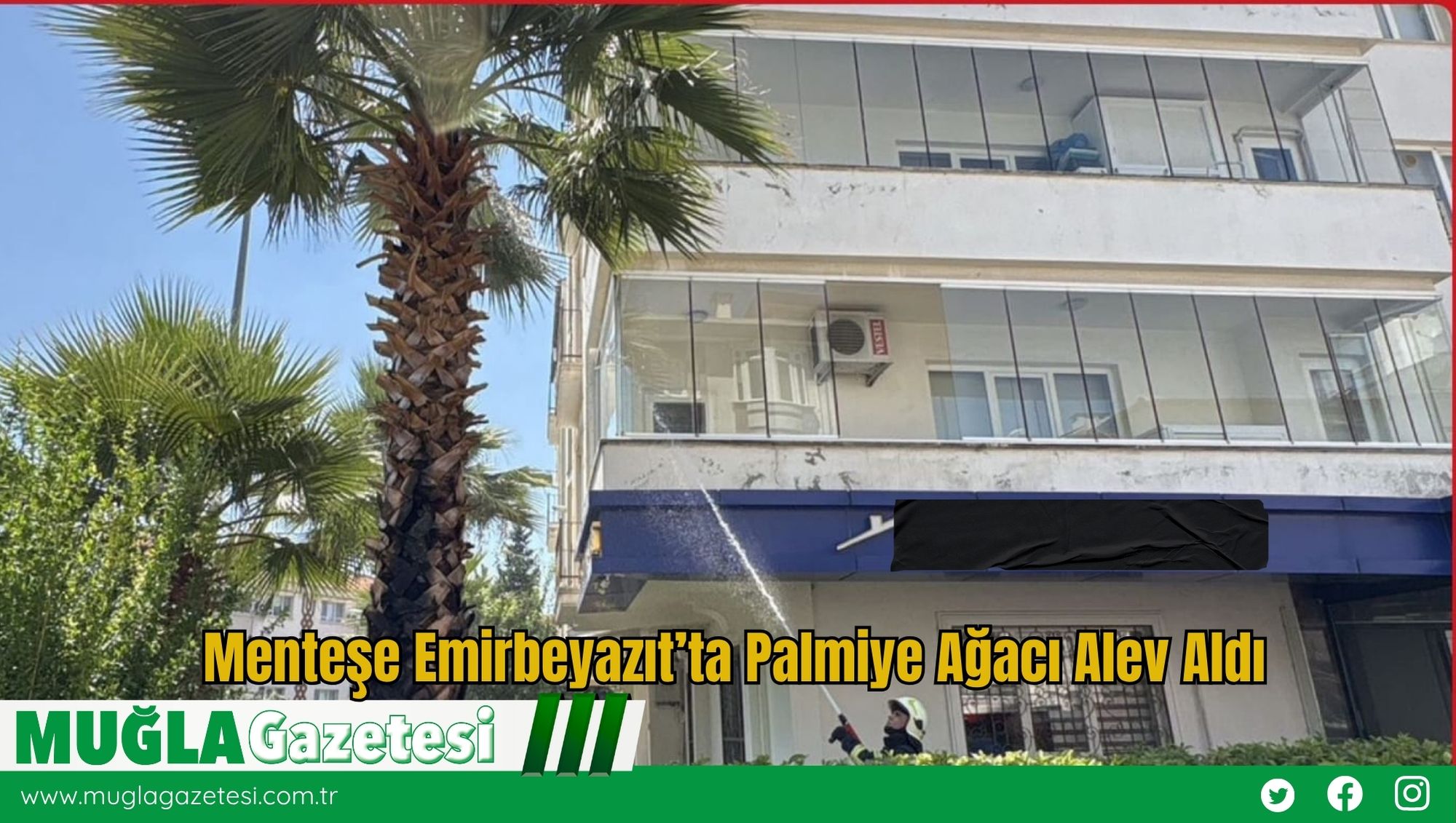 Menteşe Emirbeyazıt’ta Palmiye Ağacı Alev Aldı