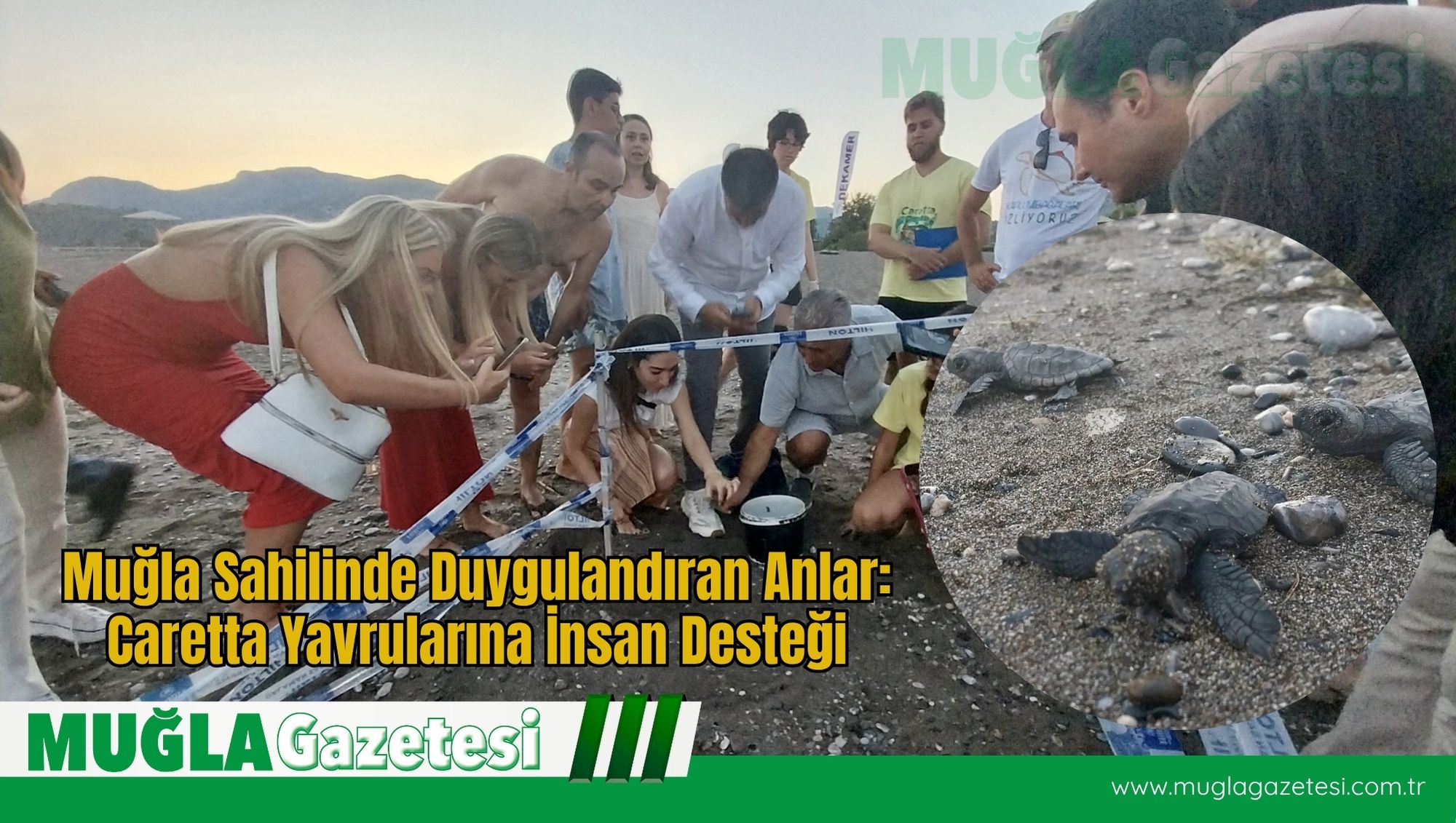 Muğla Sahilinde Duygulandıran Anlar: Caretta Yavrularına İnsan Desteği