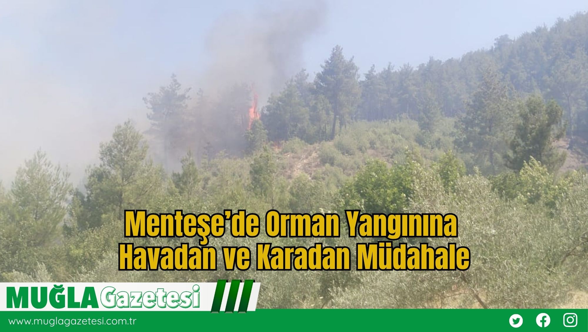 Menteşe’de Orman Yangınına Havadan ve Karadan Müdahale