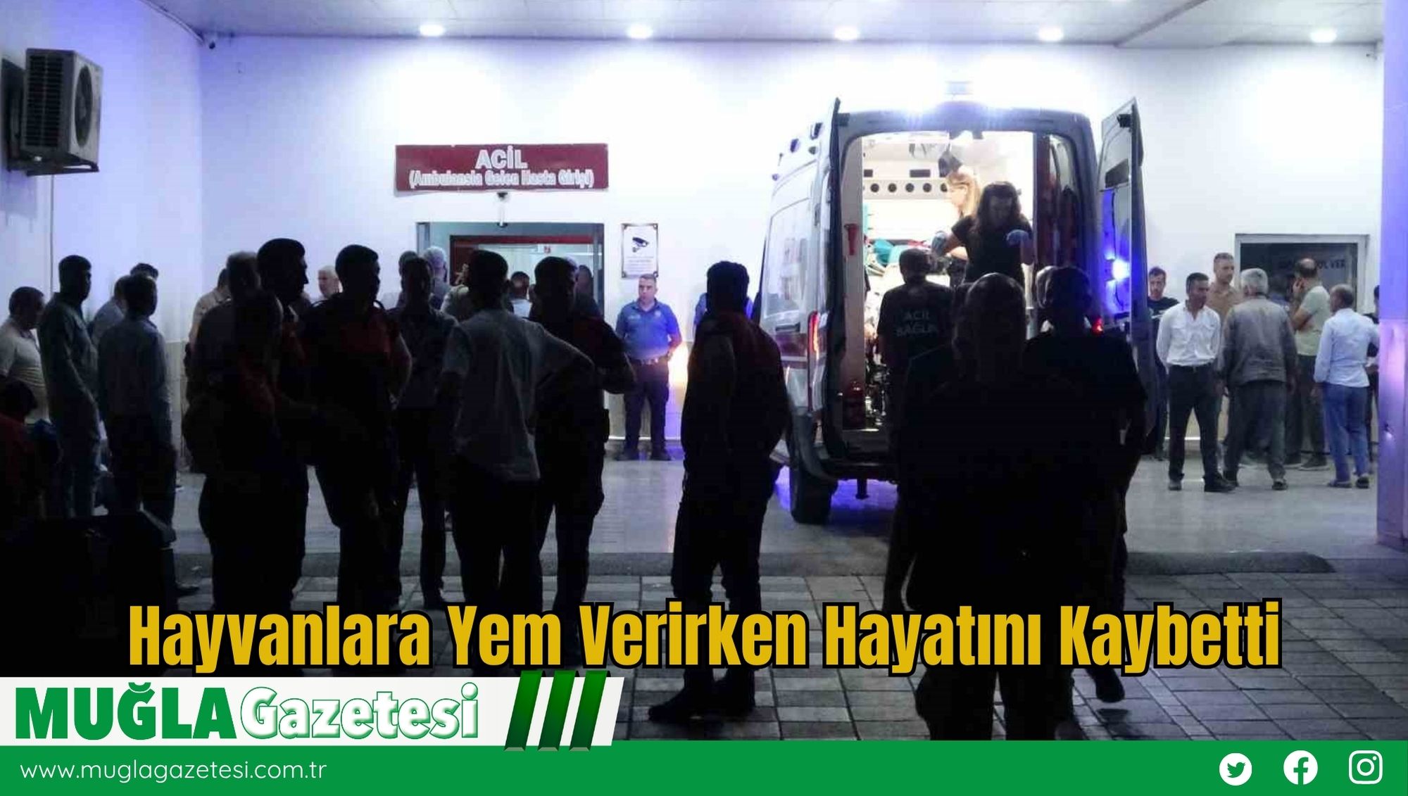 Hayvanlara Yem Verirken Hayatını Kaybetti