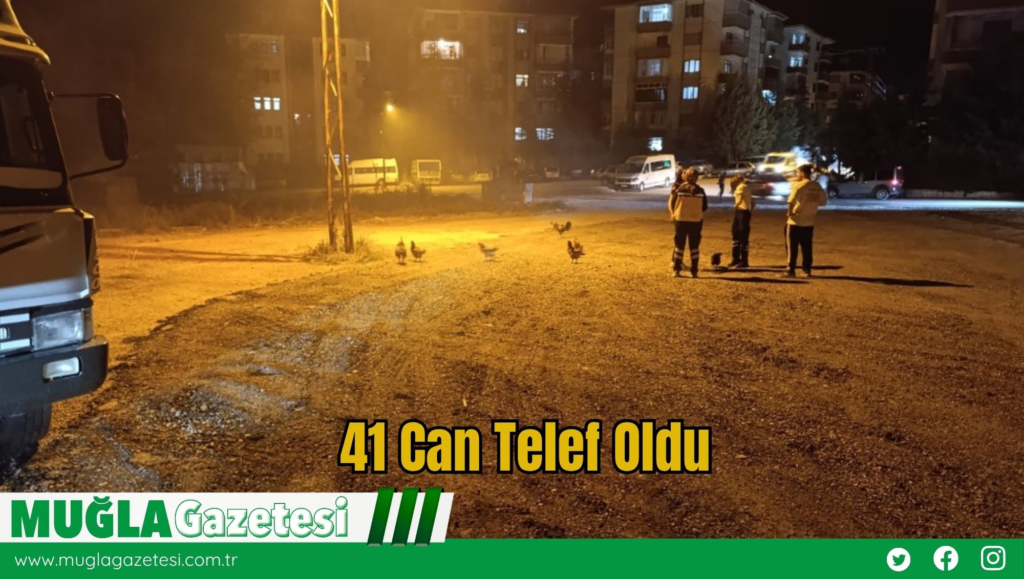 41 Can Telef Oldu