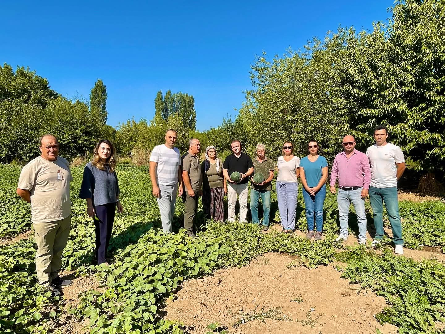 Ata Tohumları Karabağlar Topraklarında Yeşeriyor