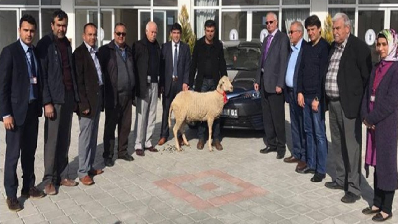 Sağır; “Keçiden Sütü Herkes Sağar Biz Tekeden Süt Çıkarıyoruz”