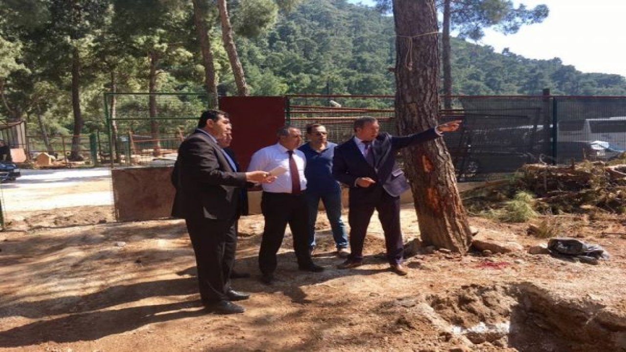 İl Hayvanları Koruma Kurulundan Barınağı Ziyaret