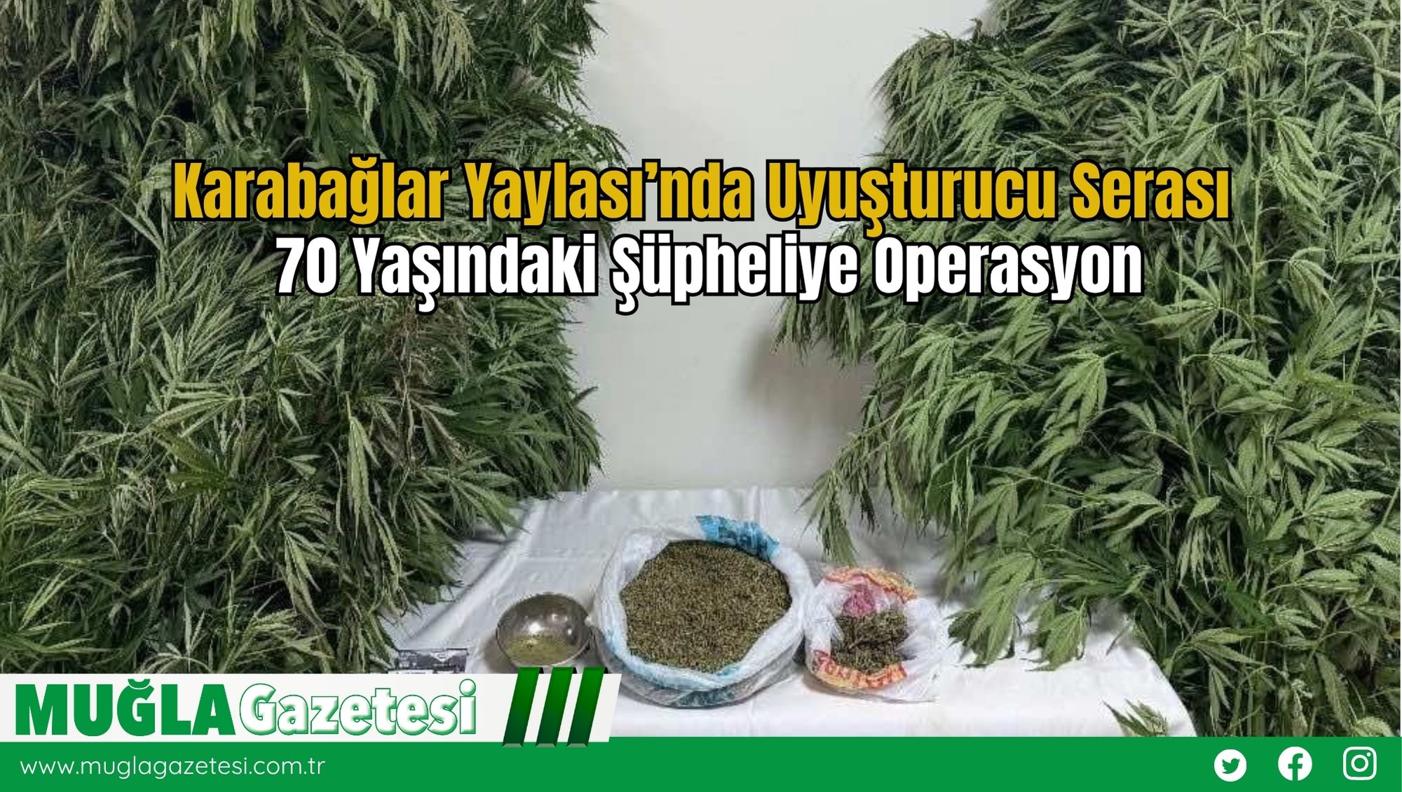 Karabağlar Yaylası’nda Uyuşturucu Serası: 70 Yaşındaki Şüpheliye Operasyon