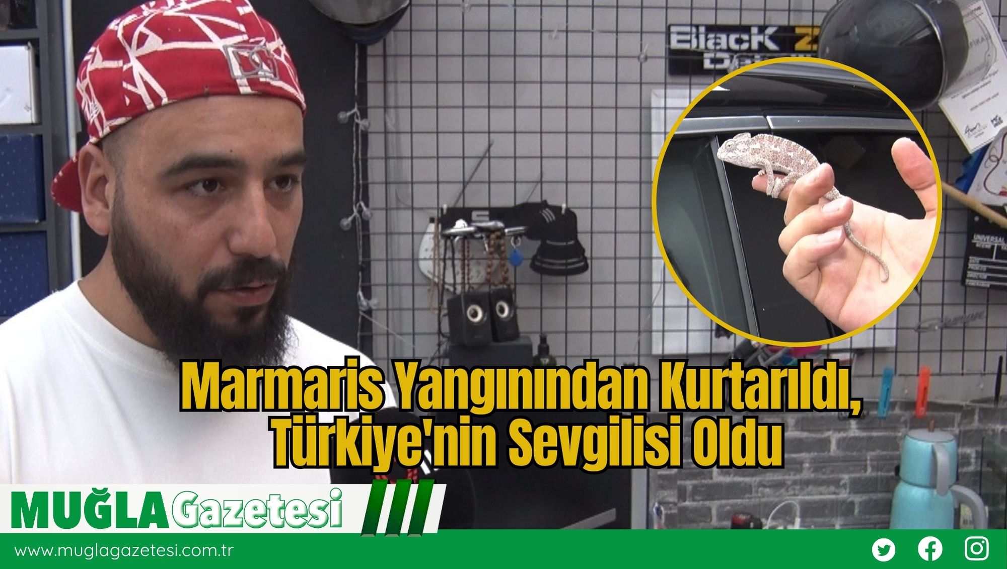 Marmaris Yangınından Kurtarıldı, Türkiye'nin Sevgilisi Oldu