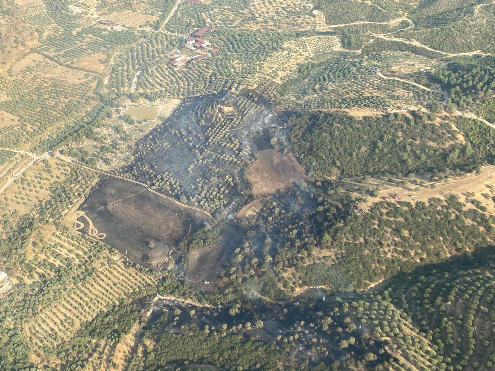 Kuyucak’taki Yangın Kontrol Altına Alındı