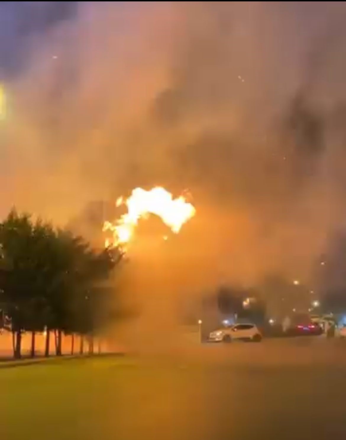 Çocukların Oyunu Yangına Dönüştü:Ormanlık Alan Küle Döndü