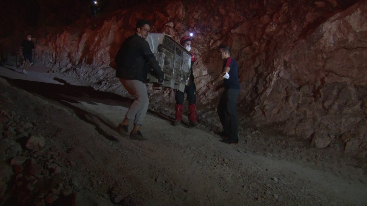 Bursa’daki Yangında Mahsur Kalan Hayvanlar Böyle Kurtarıldı