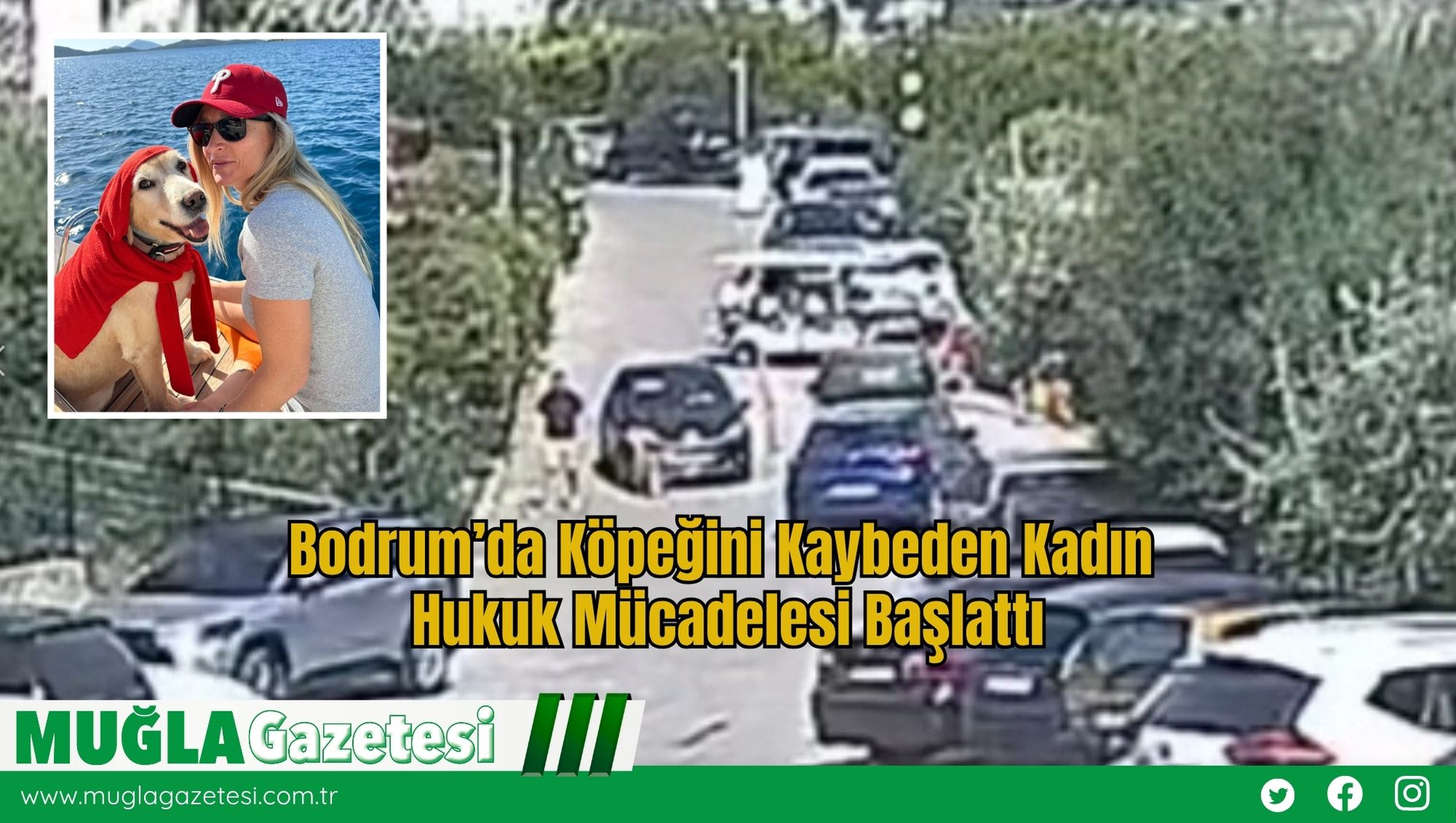 Bodrum’da Köpeğini Kaybeden Kadın Hukuk Mücadelesi Başlattı