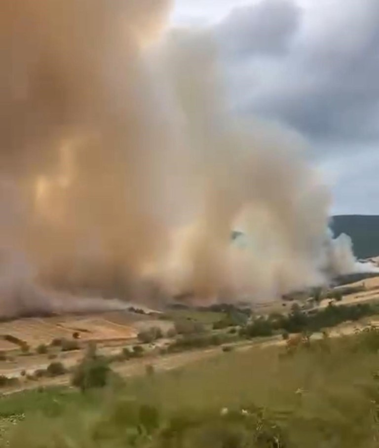 Yenişehir’de Orman Yangını: Havadan ve Karadan Müdahale Sürüyor