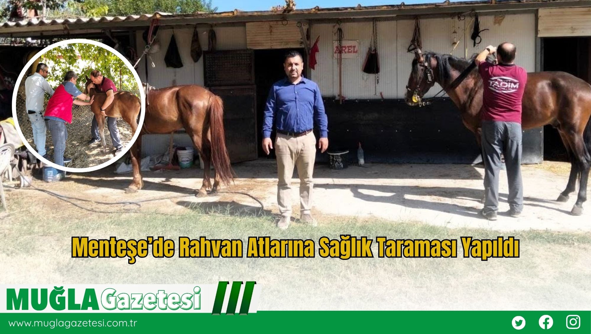 Menteşe’de Rahvan Atlarına Sağlık Taraması Yapıldı
