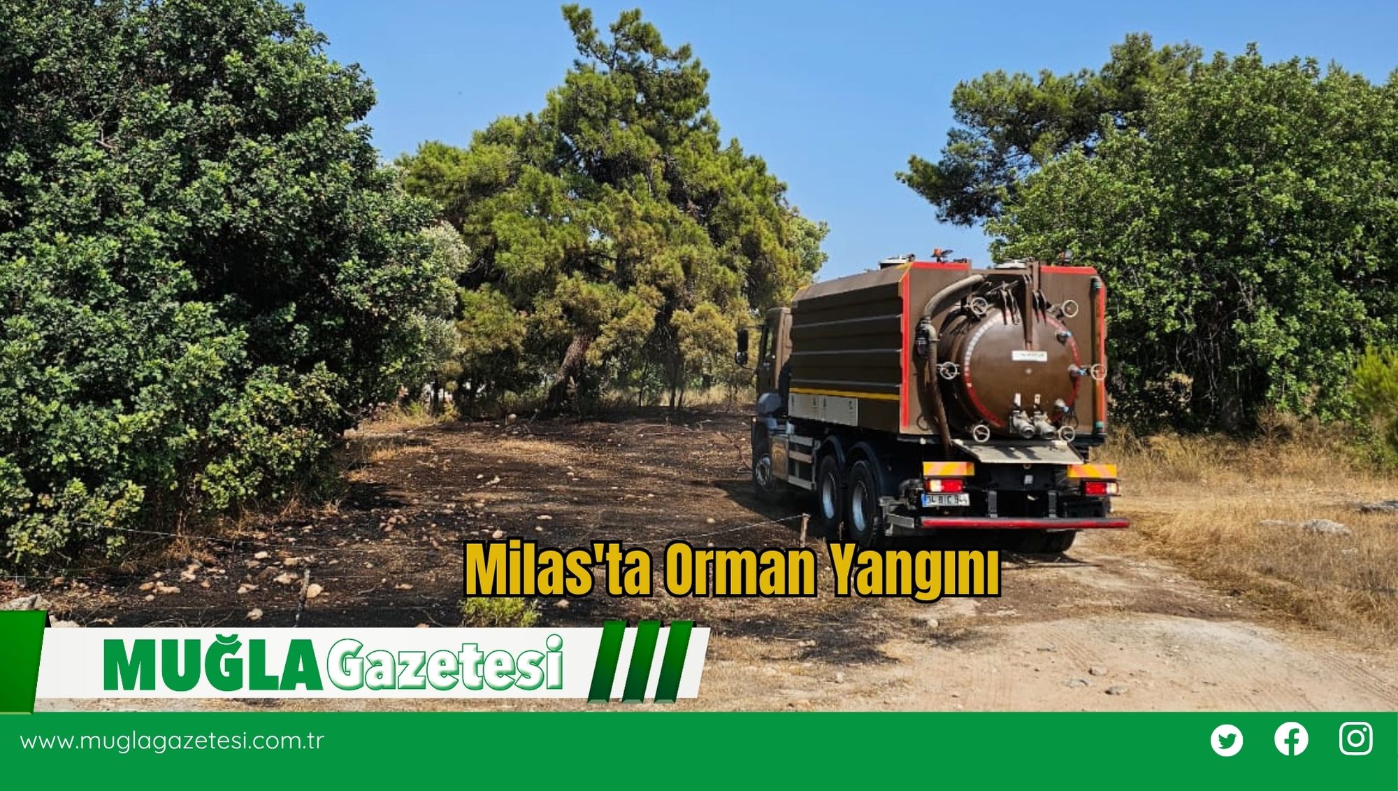 Milas'ta Orman Yangını