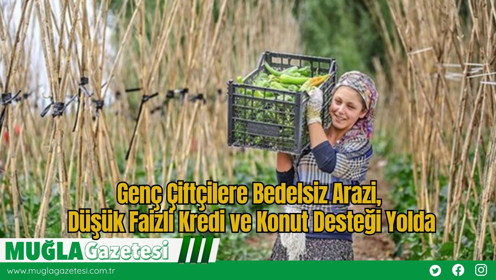Genç Çiftçilere Bedelsiz Arazi, Düşük Faizli Kredi ve Konut Desteği Yolda